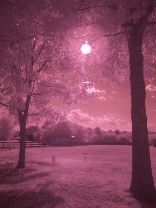Sun setting enhanced by a rose colored filter - The Art Muse is back - Techno-Impressionist Museum - Techno-Impressionism - art - beautiful - photo photography picture - by Tony Karp