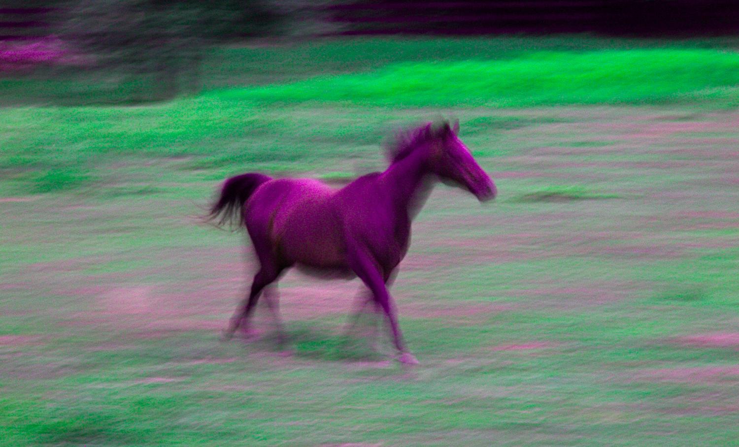 Multi-colored horse running in the field. Colors are surrealistic and in shades of pink, purple and green. - Horse #3 - Techno-Impressionist Museum - Techno-Impressionism - art - beautiful - photo photography picture - by Tony Karp