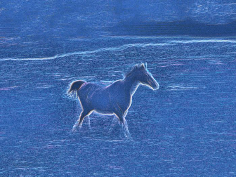hose in the field with a blue hue - Horse on the next road - Techno-Impressionist Museum - Techno-Impressionism - art - beautiful - photo photography picture - by Tony Karp