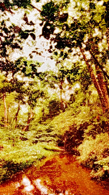 trees, by Tony Karp - Best of 2007 #6 - Techno-Impressionist Museum - Techno-Impressionism - art - beautiful - photo photography picture - by Tony Karp