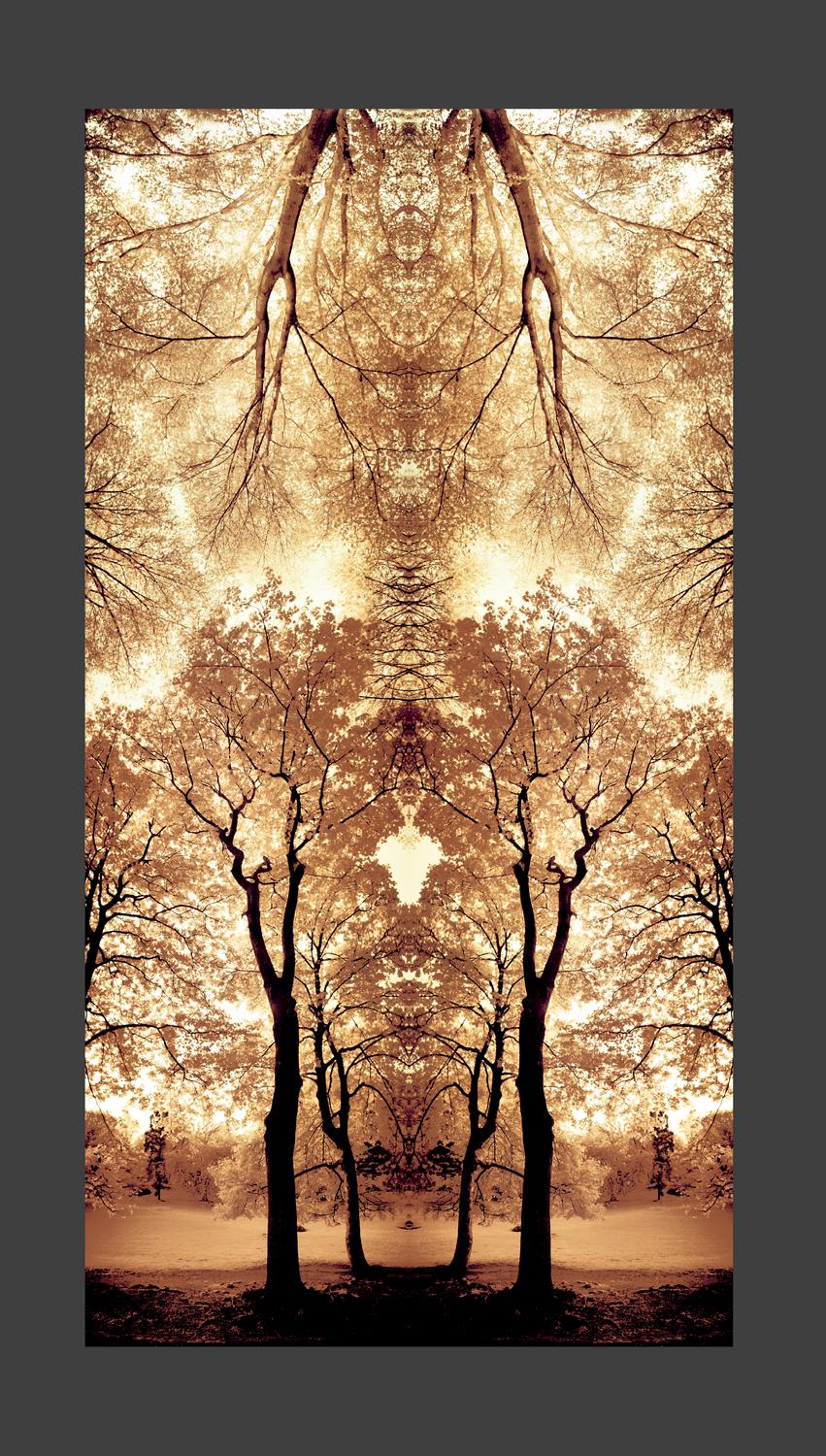 Panorama of trees from a park near El Escorial, Spain Picture contains a virtual frame colors are shades of brown - Message from the trees - Techno-Impressionist Museum - Techno-Impressionism - art - beautiful - photo photography picture - by Tony Karp