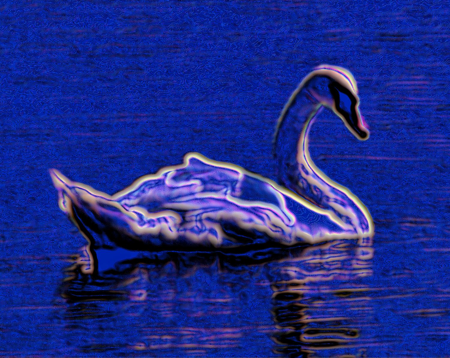  - Electric Swan - Exhibit in the artist's studio/gallery - Techno-Impressionist Museum - Techno-Impressionism - art - beautiful - photo photography picture - by Tony Karp