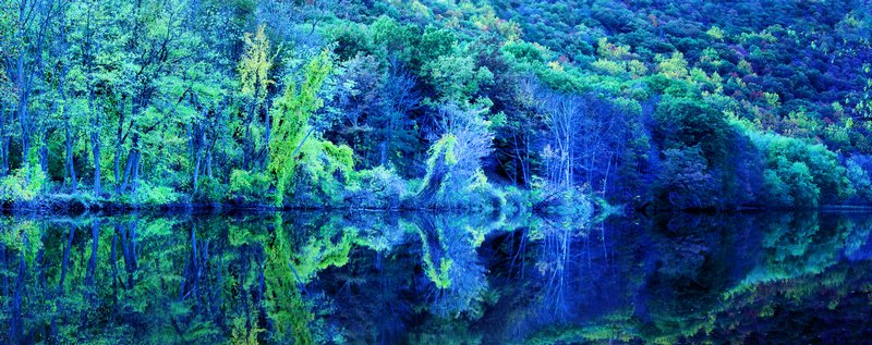 relfection of the trees in the still lake in hues going from blue to green From somewhere in Conneticutt just before we left - Good bye, New York - Techno-Impressionist Museum - Techno-Impressionism - art - beautiful - photo photography picture - by Tony Karp