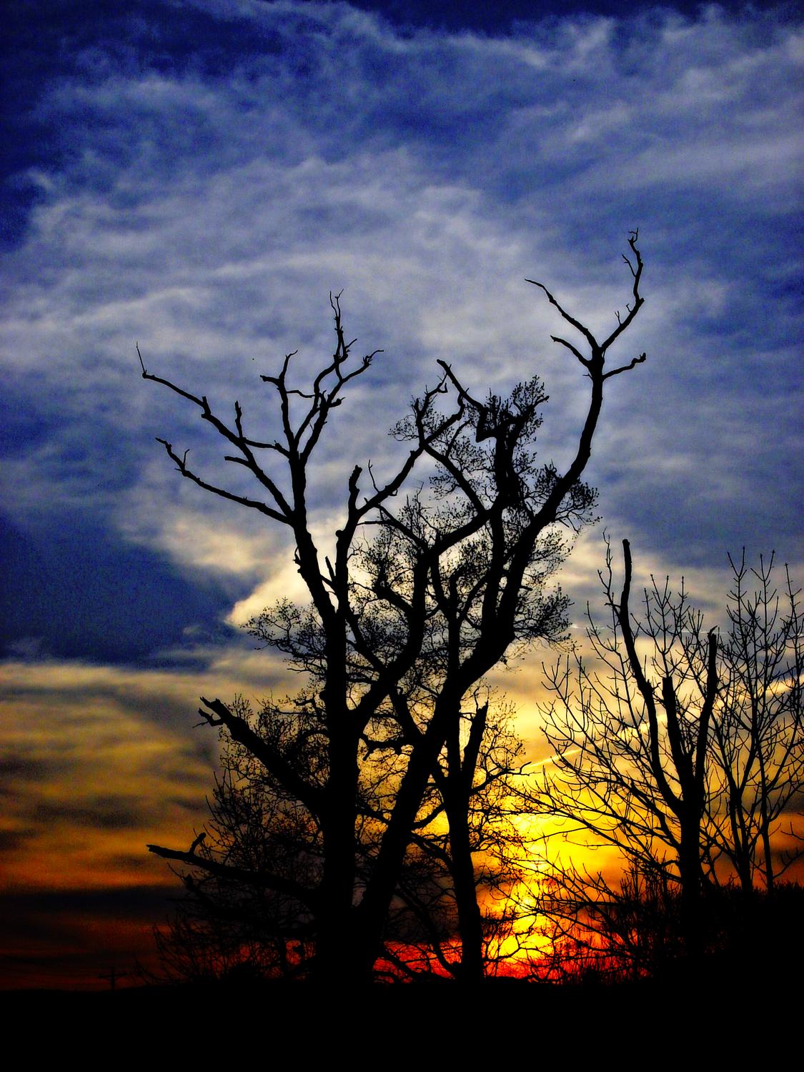  - I'm his docent - Techno-Impressionist Museum - Techno-Impressionism - art - beautiful - photo photography picture - by Tony Karp
