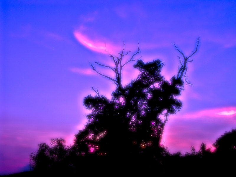  - The beauty of nature - Techno-Impressionist Museum - Techno-Impressionism - art - beautiful - photo photography picture - by Tony Karp