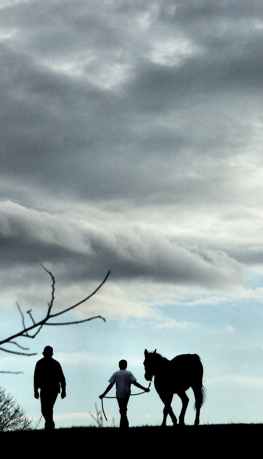 Man and boy with horse on farm on Logmill road Huge vista showing the blue sky with black and white clouds overhead - Horses at the end of the day - Techno-Impressionist Museum - Techno-Impressionism - art - beautiful - photo photography picture - by Tony Karp
