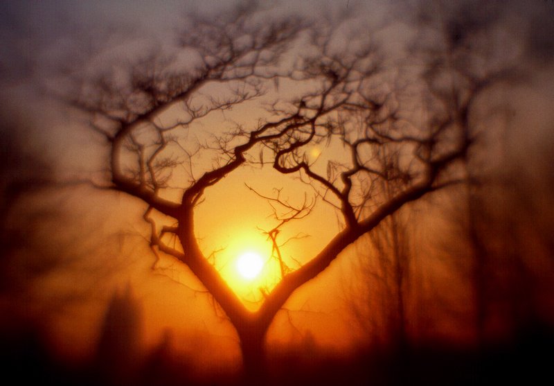  - I'm his docent - Techno-Impressionist Museum - Techno-Impressionism - art - beautiful - photo photography picture - by Tony Karp