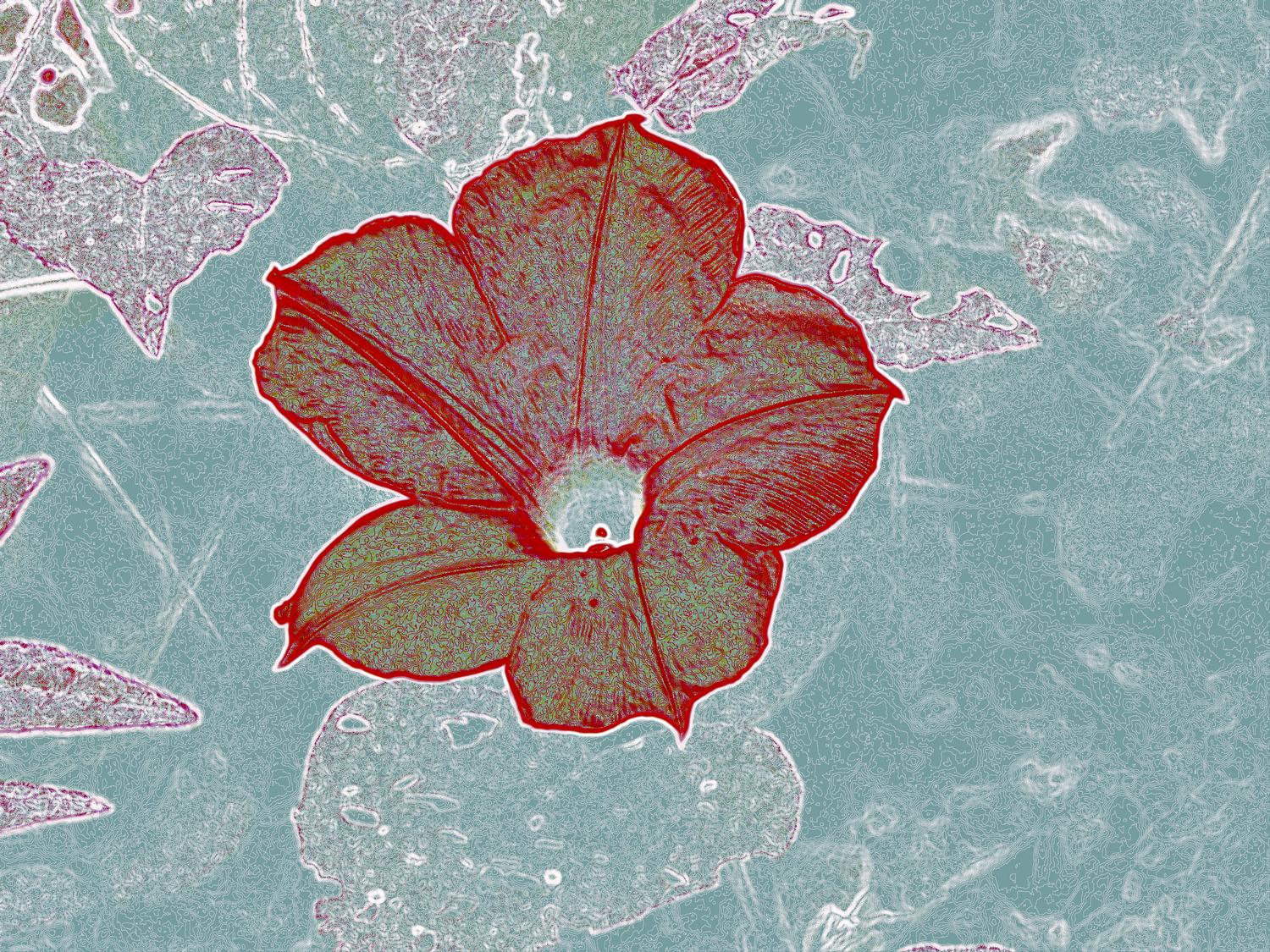 flower by Tony Karp - Flower with red # 1 - Techno-Impressionist Museum - Techno-Impressionism - art - beautiful - photo photography picture - by Tony Karp