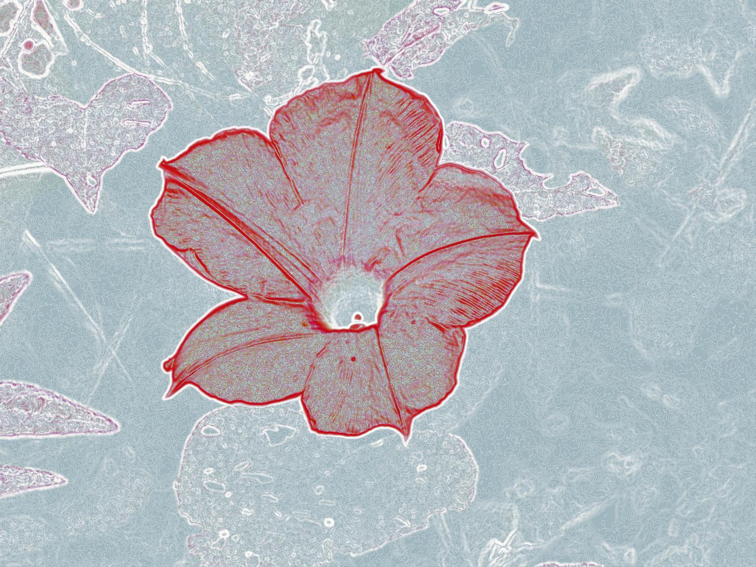 flower by Tony Karp - Flower with red # 2 - Techno-Impressionist Museum - Techno-Impressionism - art - beautiful - photo photography picture - by Tony Karp