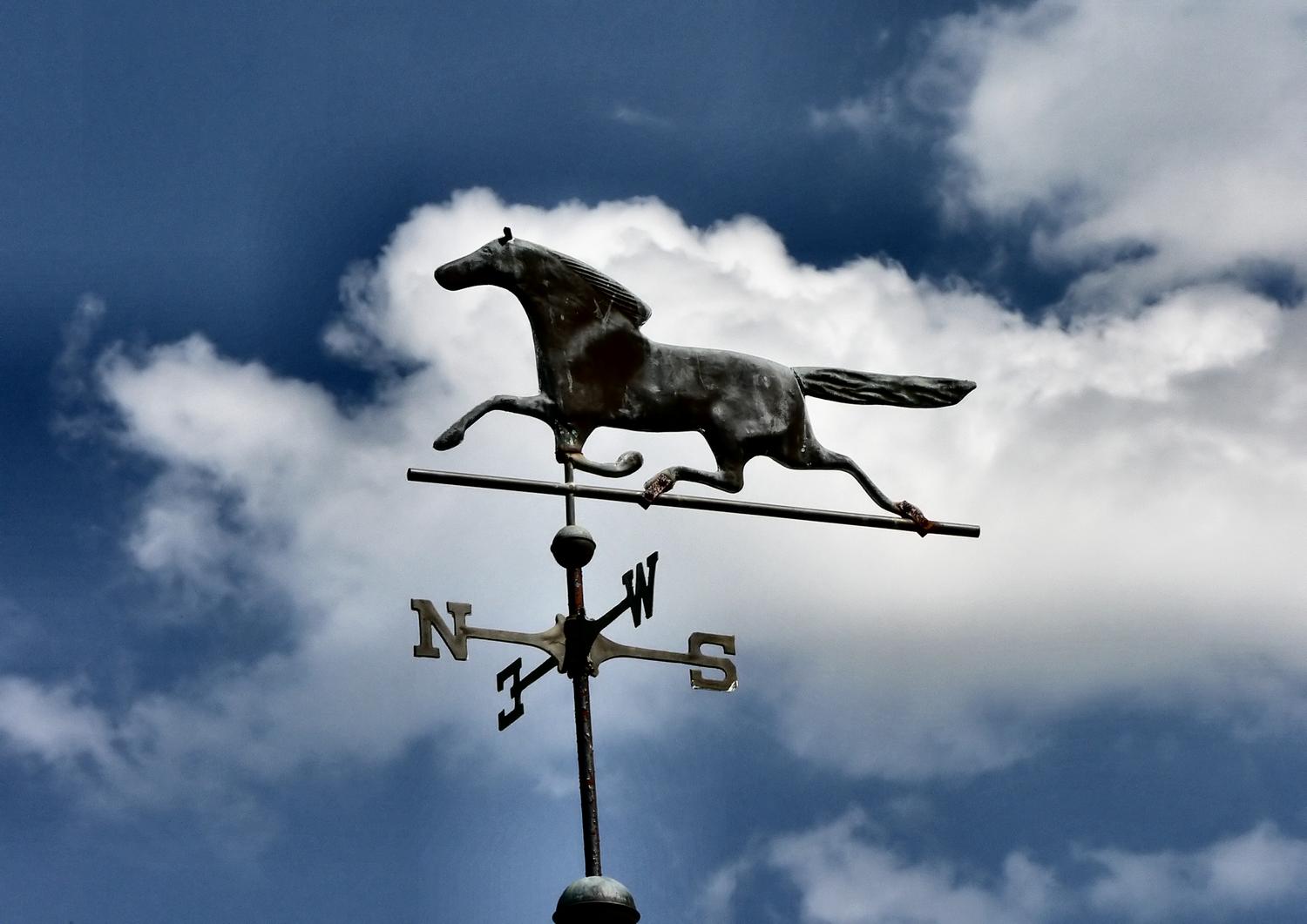  - Horse over my head # 1 - Techno-Impressionist Museum - Techno-Impressionism - art - beautiful - photo photography picture - by Tony Karp