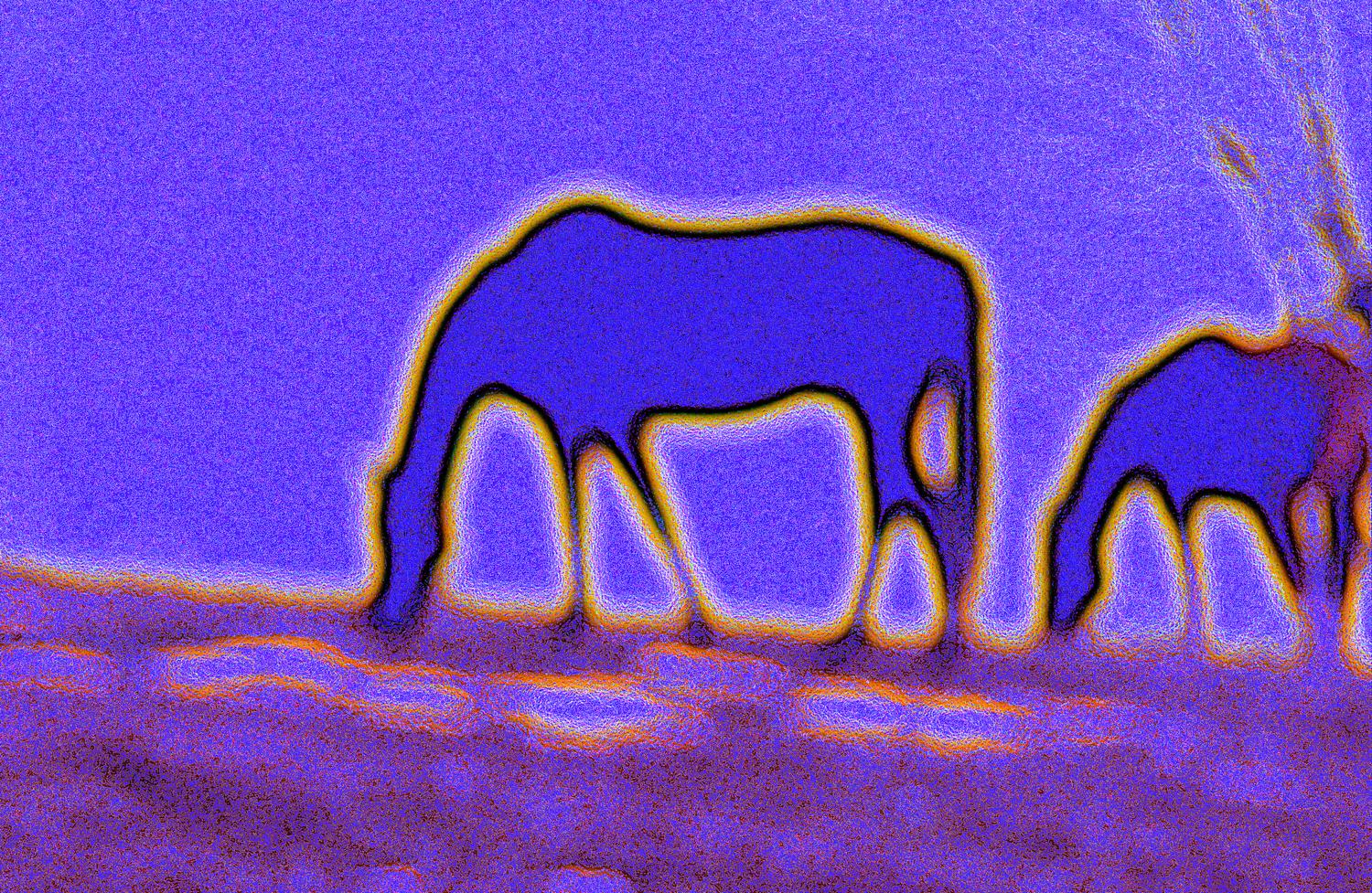 Horses by Tony Karp - Horses on Logmill Road - Techno-Impressionist Museum - Techno-Impressionism - art - beautiful - photo photography picture - by Tony Karp