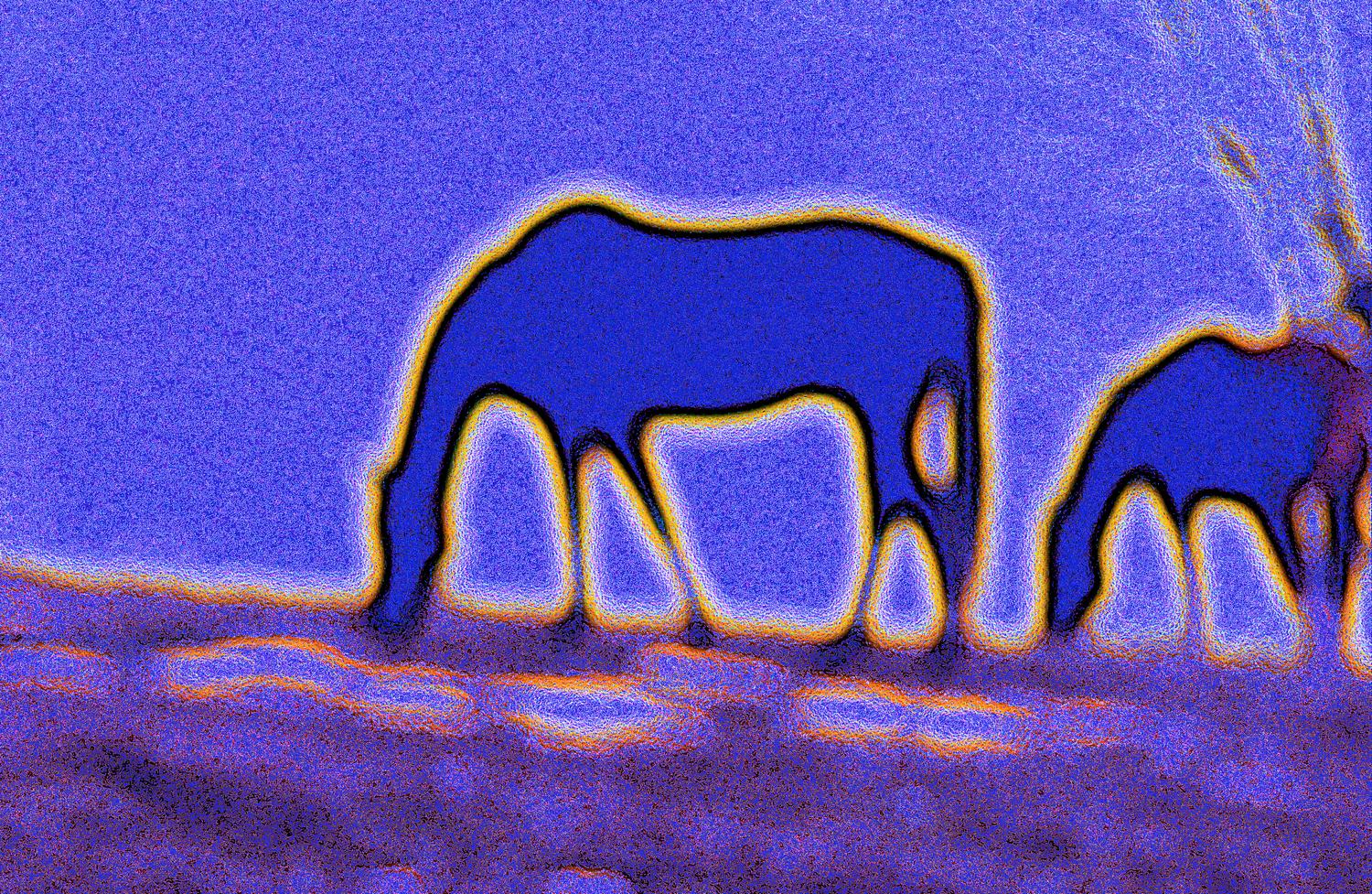 Two horses on Logmill road eating the grass. Horses are outlined in red against a dark blue sky. A picture that takes advantage of the bokeh In photography, bokeh is the blur, or the aesthetic quality of the blur, in out-of-focus areas of an image - Horses on Logmill Road< - Techno-Impressionist Museum - Techno-Impressionism - art - beautiful - photo photography picture - by Tony Karp
