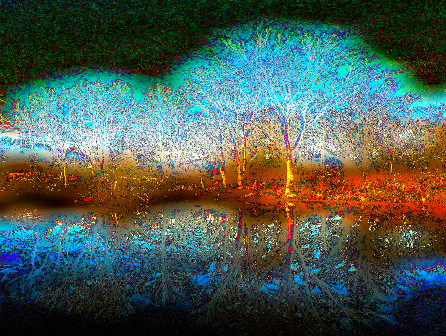  - Fantasy at Ida Lee - Exhibit in the artist's studio/gallery - Techno-Impressionist Museum - Techno-Impressionism - art - beautiful - photo photography picture - by Tony Karp