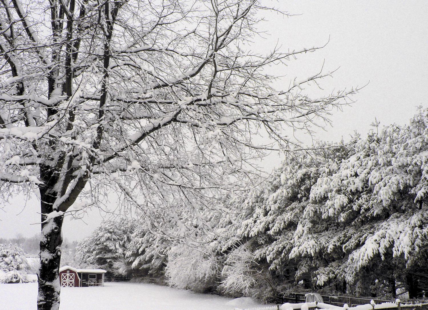 - <center>Winter scene with barn, trees - Techno-Impressionist Museum - Techno-Impressionism - art - beautiful - photo photography picture - by Tony Karp