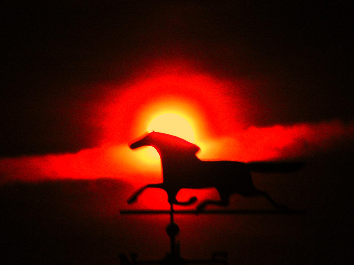  - Horses over my head  - a series - Techno-Impressionist Museum - Techno-Impressionism - art - beautiful - photo photography picture - by Tony Karp