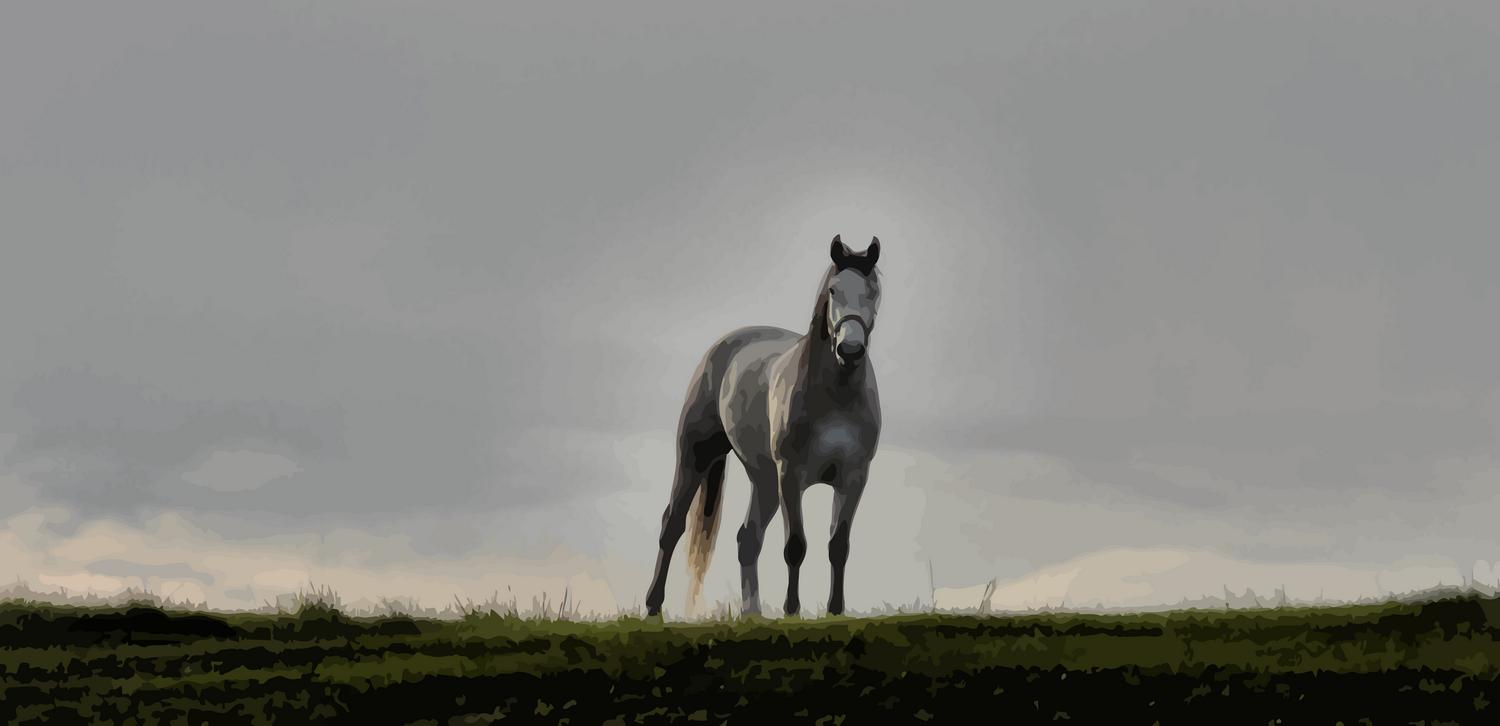 The artist's favorite mustang standing in the field with a glow around the horse - <center>Extraordinary mustang - Techno-Impressionist Museum - Techno-Impressionism - art - beautiful - photo photography picture - by Tony Karp