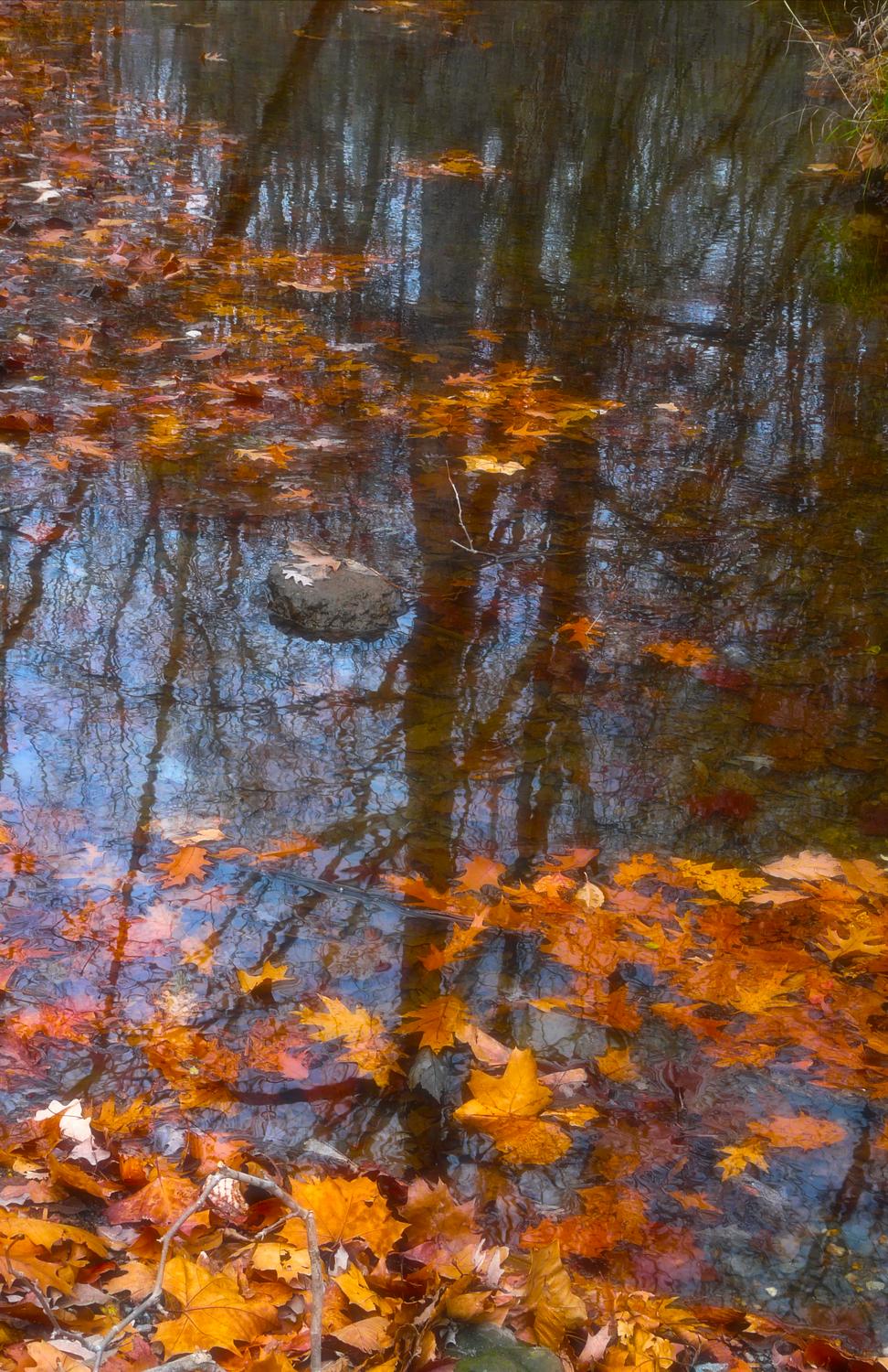  - Water # 1 - Techno-Impressionist Museum - Techno-Impressionism - art - beautiful - photo photography picture - by Tony Karp