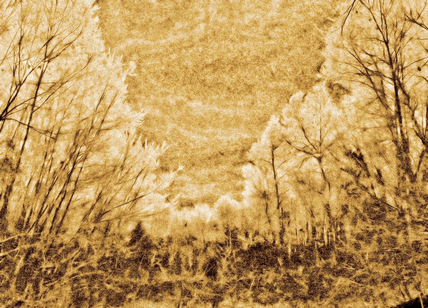  - Techno-Impressionism is networking thought - Techno-Impressionist Museum - Techno-Impressionism - art - beautiful - photo photography picture - by Tony Karp