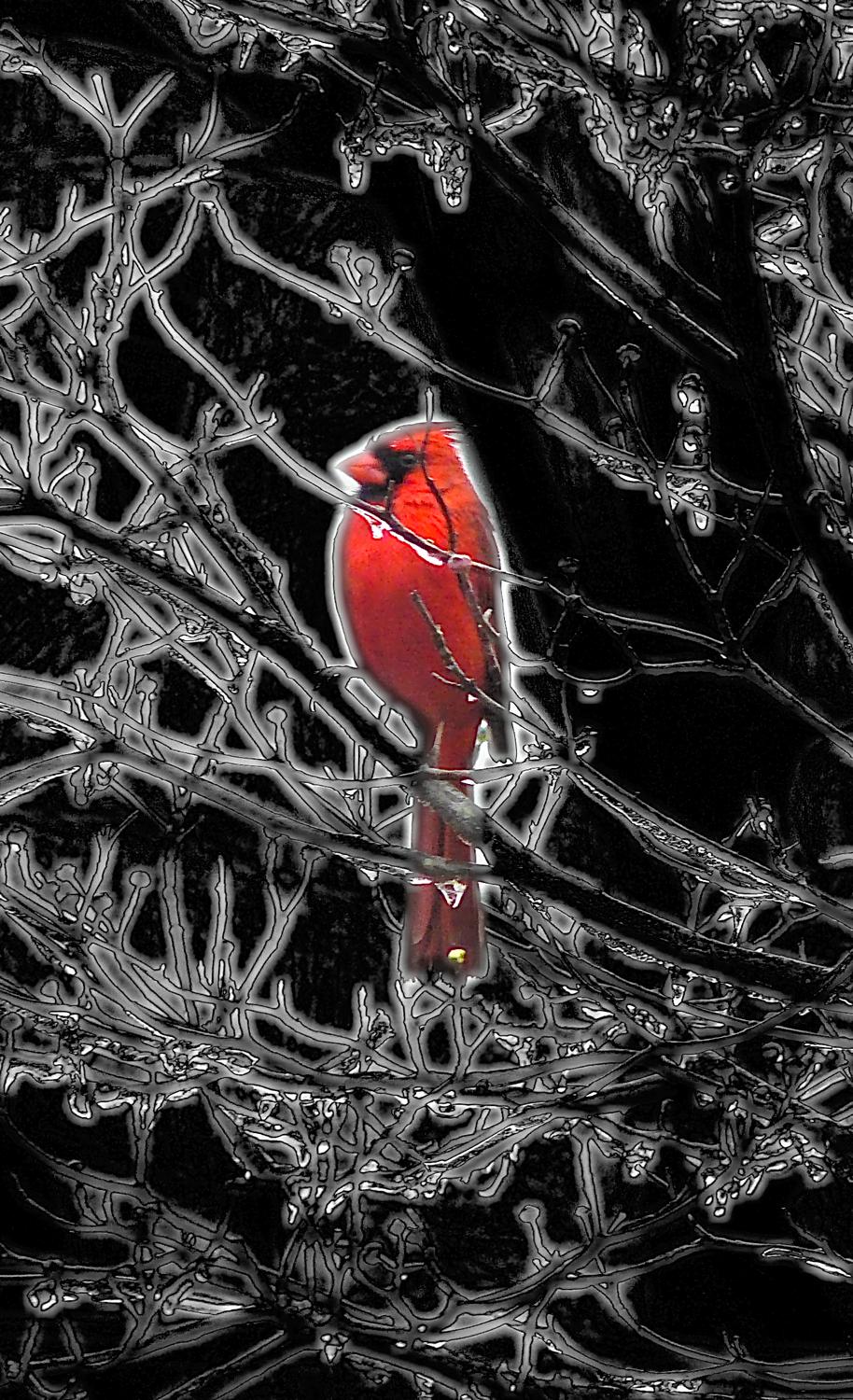 - <center>Cardinal in an icy tree - Techno-Impressionist Museum - Techno-Impressionism - art - beautiful - photo photography picture - by Tony Karp