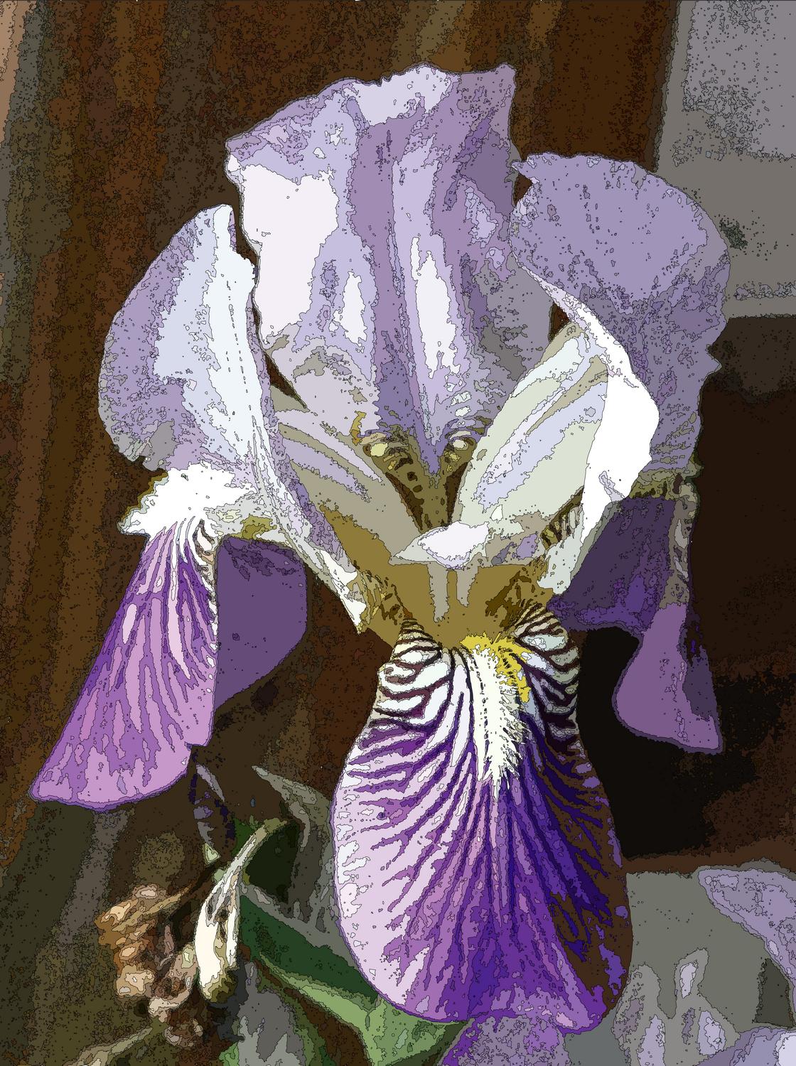 white and purple iris style divisionism - Iris with fine lines</Center><p></p> - Techno-Impressionist Museum - Techno-Impressionism - art - beautiful - photo photography picture - by Tony Karp