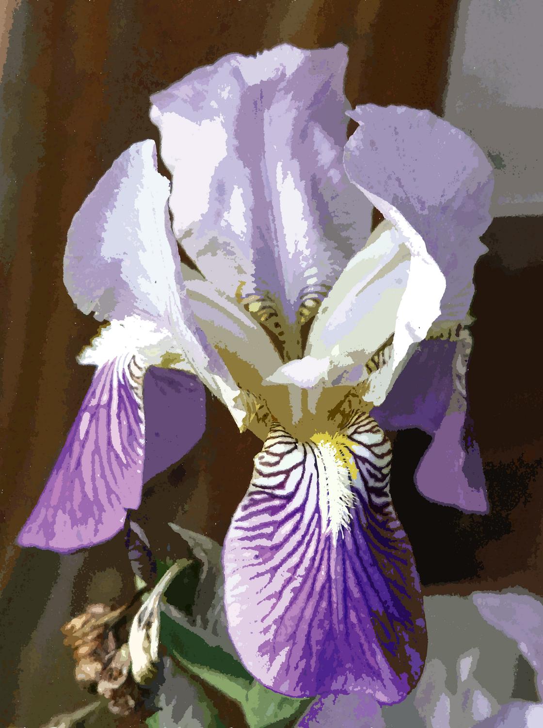  - Journey to the future of displaying art - Techno-Impressionist Museum - Techno-Impressionism - art - beautiful - photo photography picture - by Tony Karp