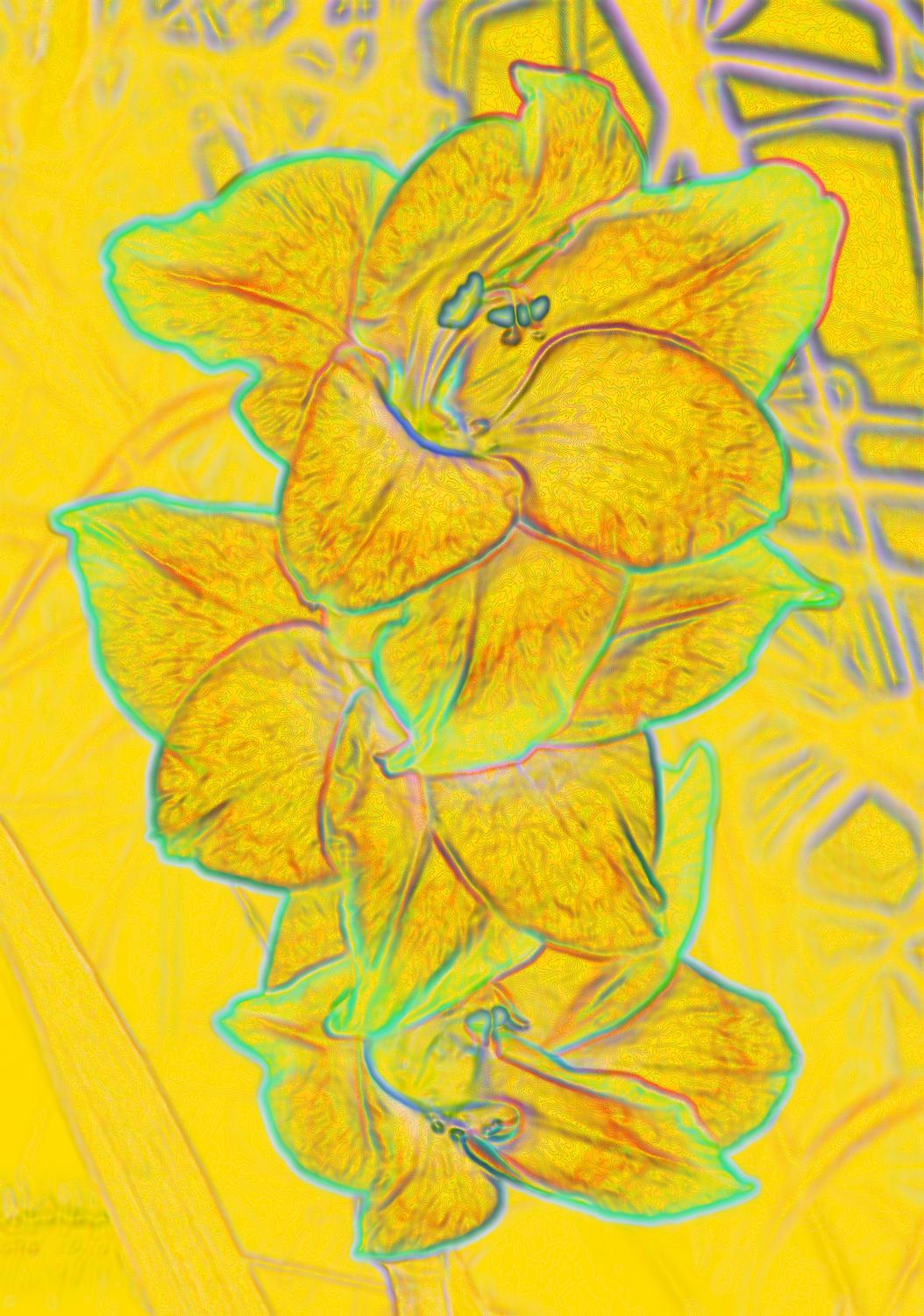yellow iris outlined in light blue on light yellow background striking visual - Orange flowers on a yellow background - Techno-Impressionist Museum - Techno-Impressionism - art - beautiful - photo photography picture - by Tony Karp