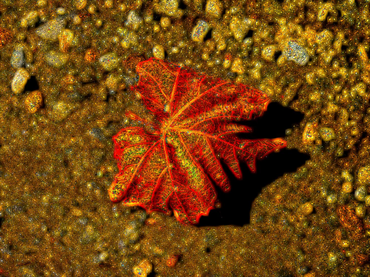 stylized leaf strong red, orange yellow colors - <center>Magical leaf on a dirt road - Techno-Impressionist Museum - Techno-Impressionism - art - beautiful - photo photography picture - by Tony Karp
