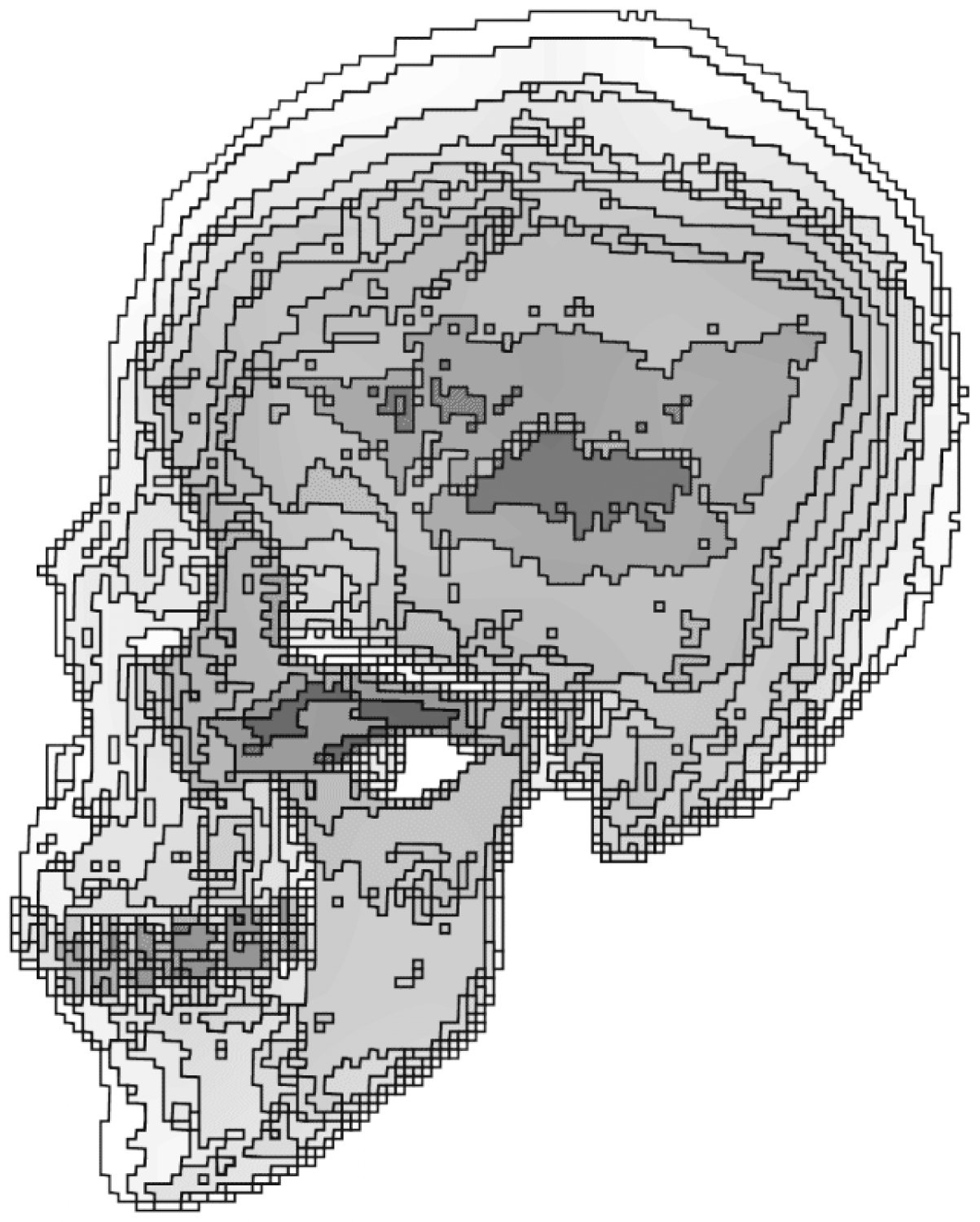 Isochromatic skul,l by Tony Karp - Isochromatic skull # 2 - Techno-Impressionist Museum - Techno-Impressionism - art - beautiful - photo photography picture - by Tony Karp